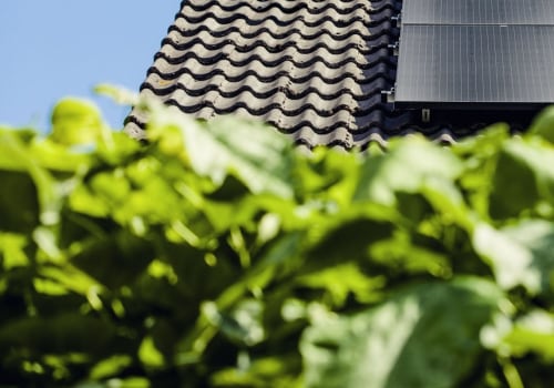 Hoe lang gaan zonnepaneelbatterijen van het huis mee?